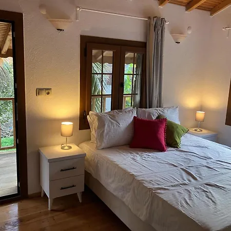 Plum Garden 费特希耶