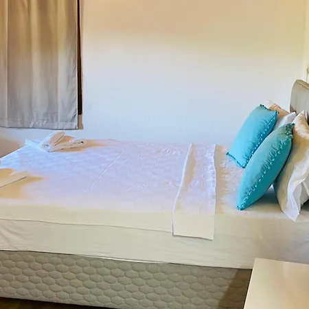 Plum Garden 费特希耶