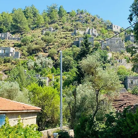 Plum Garden וילה