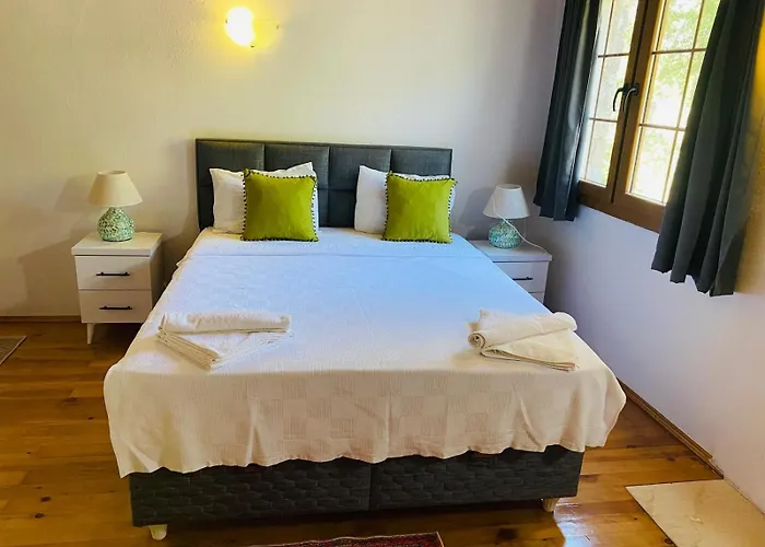 Plum Garden Villa *