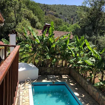 Plum Garden וילה