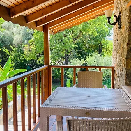 Plum Garden וילה *